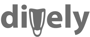 Black and white logo in which a diver's fin takes the place of the letter v