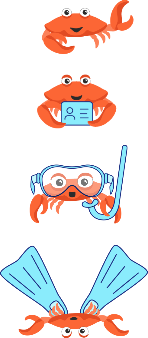 4 illustrations of the crab character: waving, holding a certification card, wearing a mask and snorkel, and wearing fins